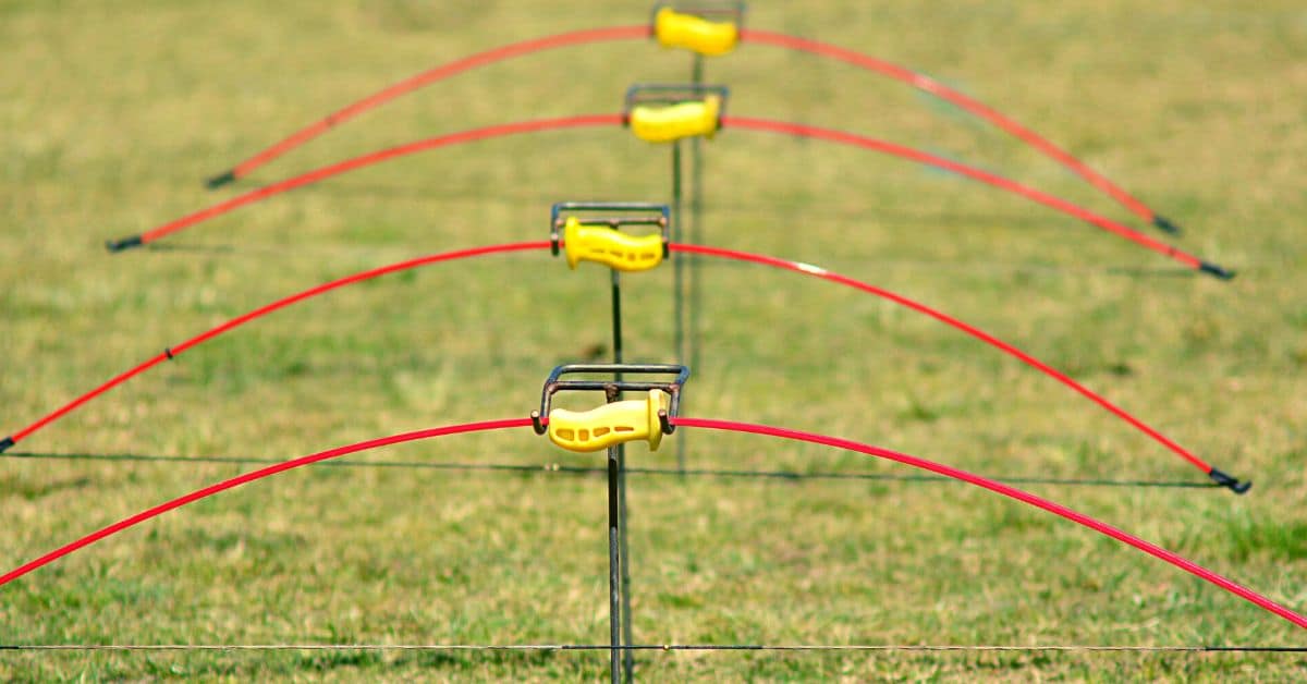 How To Prevent Bow Torque? Archery Explained